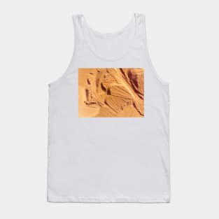 Desert aerial view Tank Top